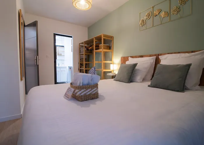 Spacieux Et Douillet T2 Au Centre Valence (Drome)