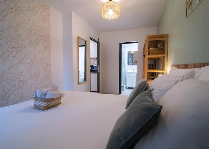 Spacieux Et Douillet T2 Au Centre Appartement