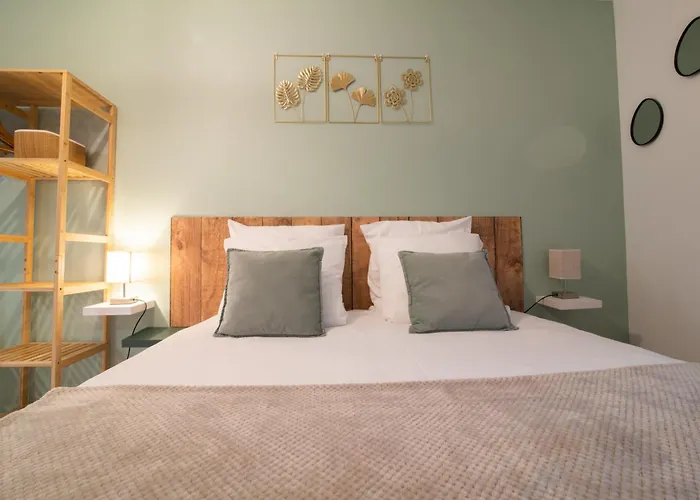 Spacieux Et Douillet T2 Au Centre Appartement