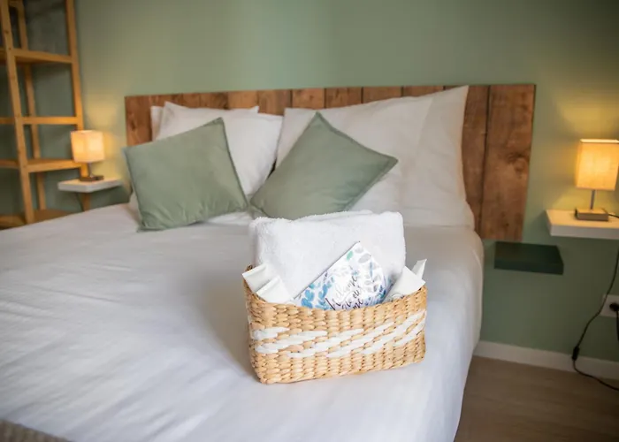 Spacieux Et Douillet T2 Au Centre Valence (Drome)