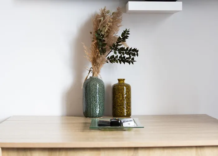 Spacieux Et Douillet T2 Au Centre Appartement