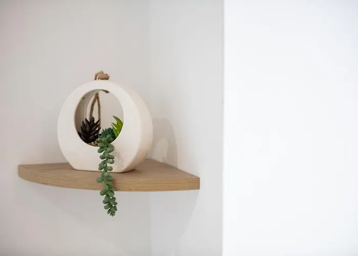 Spacieux Et Douillet T2 Au Centre Appartement Valence (Drome)