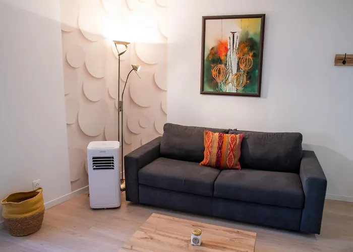 Appartement Spacieux Et Douillet T2 Au Centre Valence (Drome)