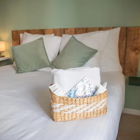 Spacieux Et Douillet T2 Au Centre Valence (Drome)