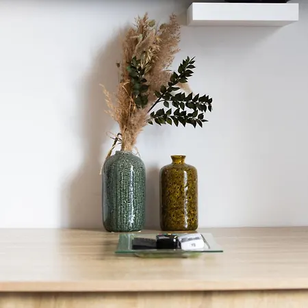 Spacieux Et Douillet T2 Au Centre Apartament